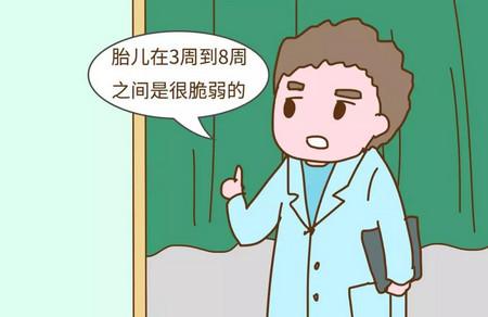 怀孕后在胎儿最脆弱的时候该注意什么