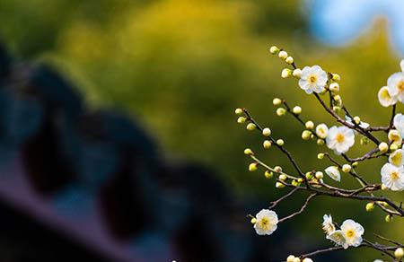 2019年元宵节主题活动方案 2019年元宵节猜灯谜活动方案