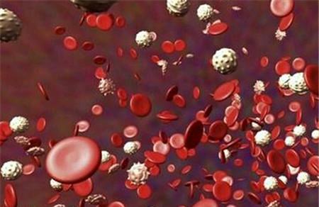 幽门螺旋杆菌会导致血小板减少吗 幽门跟血小板减少有关系吗？