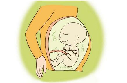 怀孕期间胎儿很聪明的表现有哪些