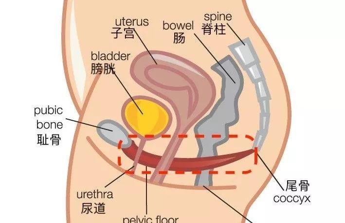 产后同房没感觉怎么回事