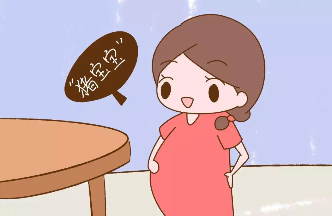 2019猪年生孩子的家庭真的有福气吗