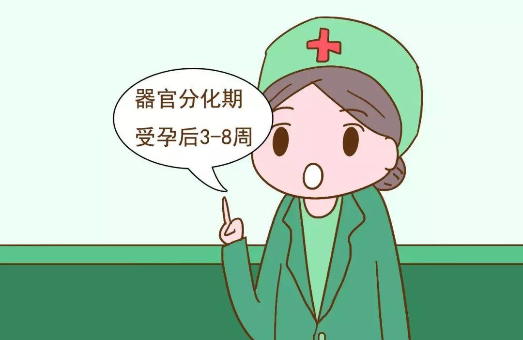 孕妇如何把握胎儿发育情况
