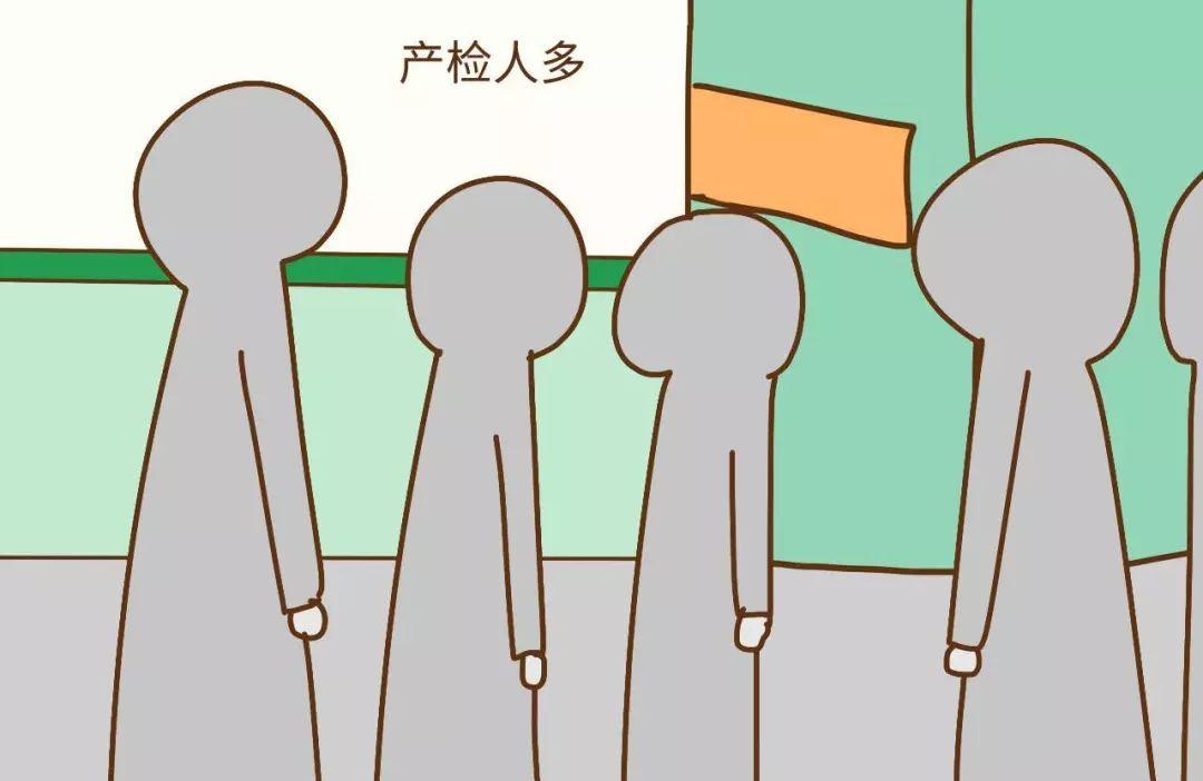 2019猪年备孕生孩子好吗