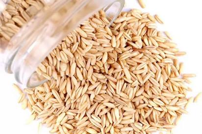 血糖高的人能吃牛奶泡燕麦片吗？