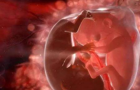 胎儿健康安全怎么保护