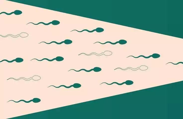 女性不孕可以做输卵管检查吗