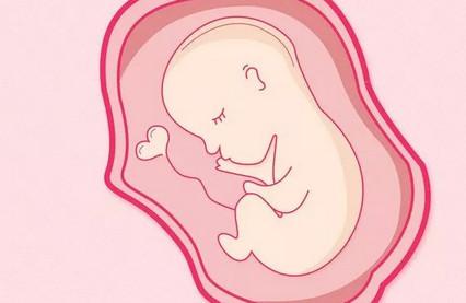 胎儿三尖瓣返流怎么回事