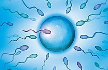 抗精子抗体会影响受孕吗?女性出现抗精子抗体怎么办?