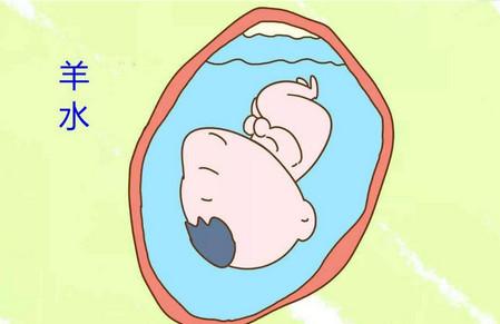 怀孕期间羊水的异常有哪些