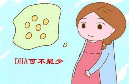 孕期怎么补充脑黄金