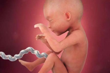 宝宝胎盘和脐带血要保存吗？