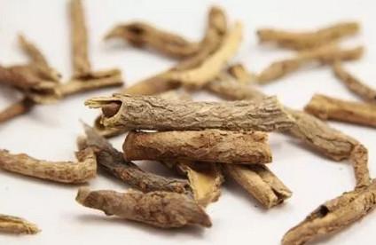 五加皮的功效和药理作用
