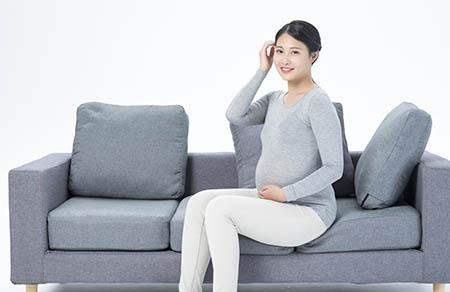 小班能干的鼻子教案