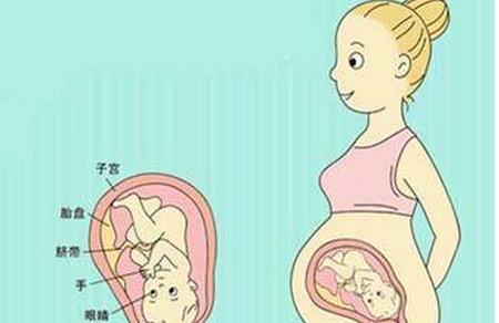 孕37周胎儿脐带绕颈两周可以顺产吗