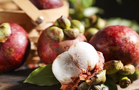 厚朴孕妇可以吃吗