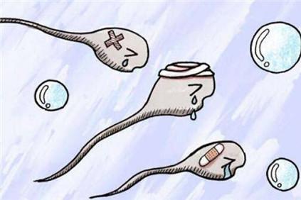 男性长期熬夜会致弱精吗 男性熬夜会导致不育？