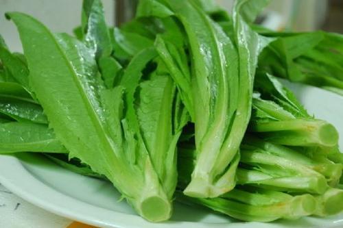 哺乳期吃油麦菜回奶吗