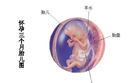 孕晚期假性宫缩肚子发硬怎么办