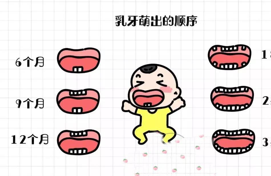 宝宝牙齿护理的误区