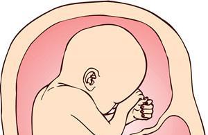孕妇吃肉和胎儿发育有什么关系