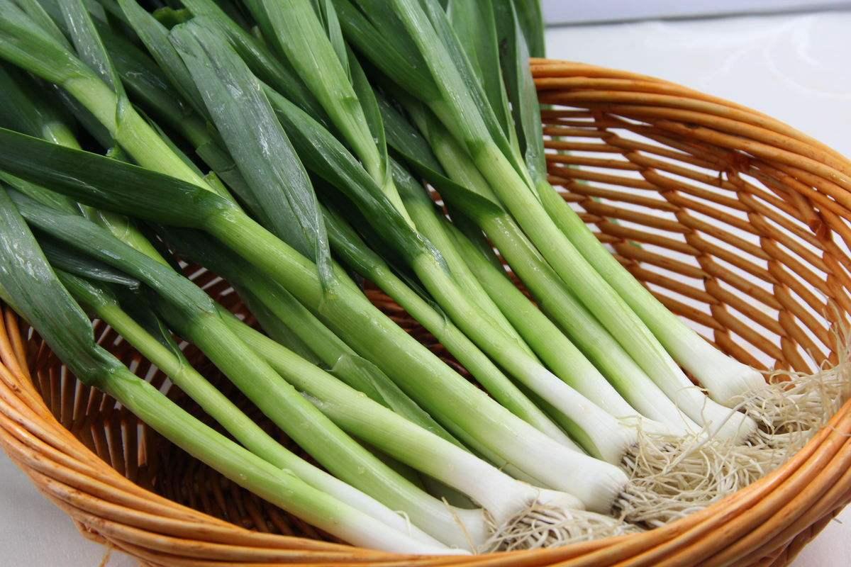 哺乳期吃蒜苗回奶吗