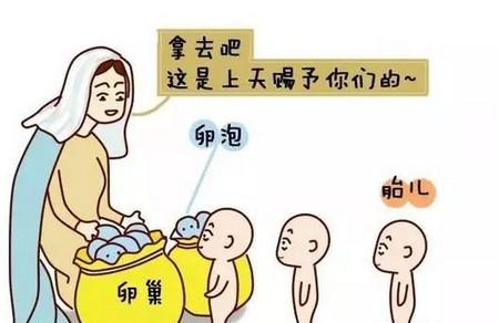 卵巢保养最佳方法