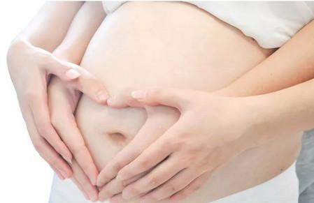 怀孕8周胎儿发育情况
