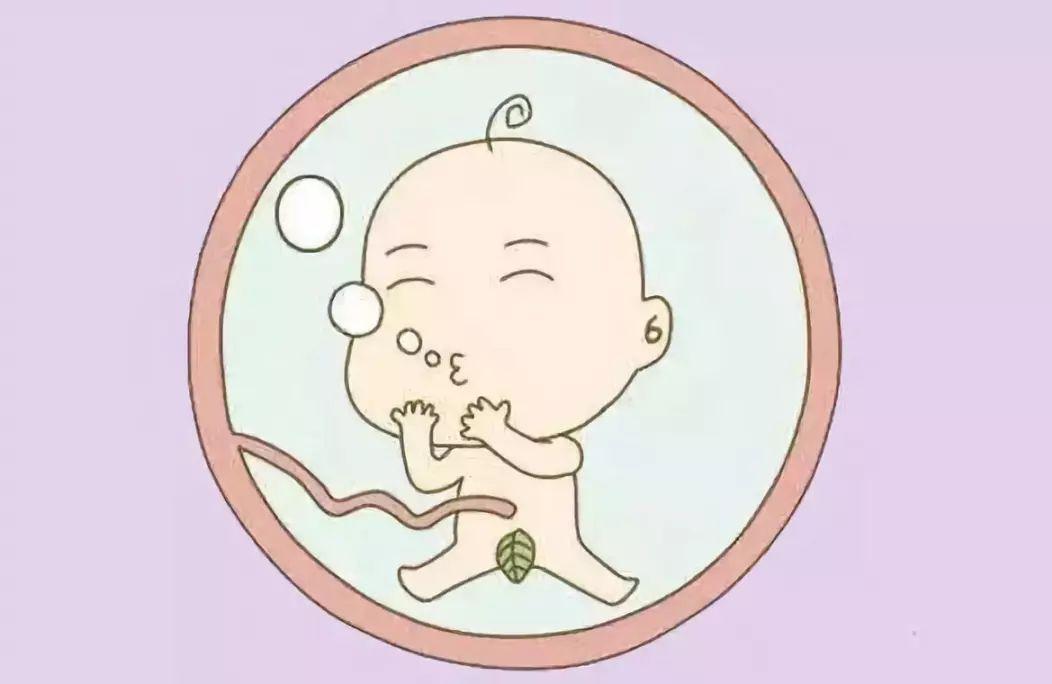 孕妇睡觉翻身时胎儿在干嘛