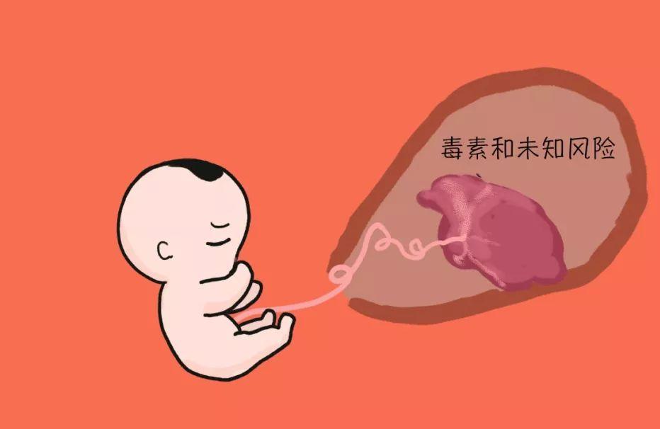 孕早期是胎儿畸形易发期吗
