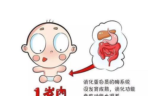 宝宝过敏体质怎么安全添加辅食