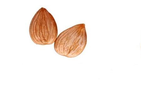 杏仁和巴旦木的区别 孩子可以吃吗