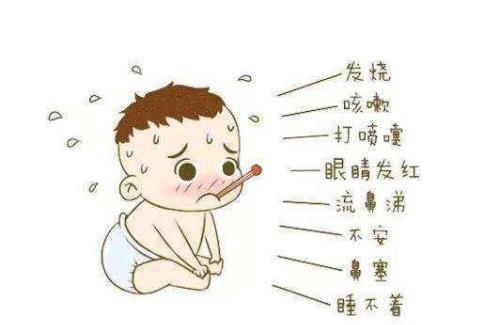 宝宝6个月总是生病怎么办