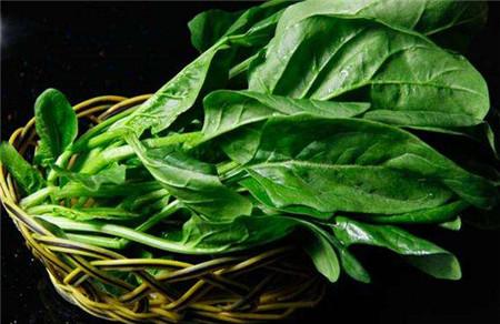 胆结石可以吃菠菜吗 菠菜对胆结石有影响吗？