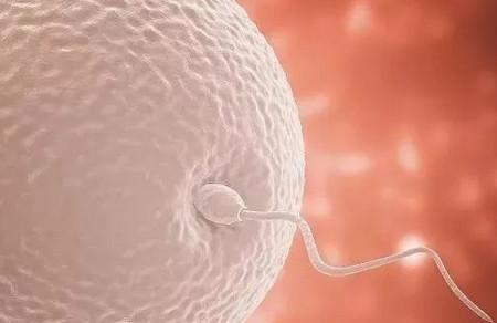 男性的生育能力到底有多强？