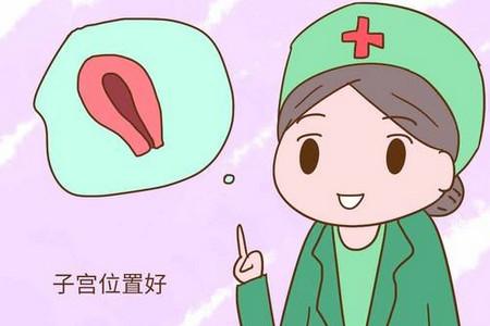 什么体位受孕最高