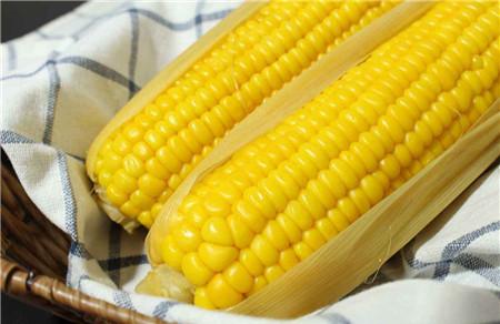 胆结石可以吃玉米吗 玉米对胆结石有好处吗？