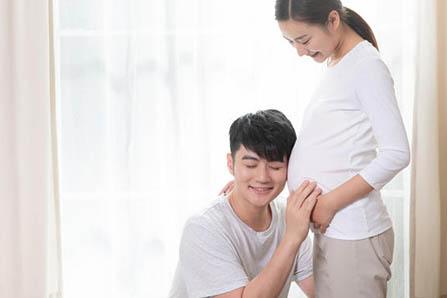 蒲公英煮鹅蛋能治糖尿病吗