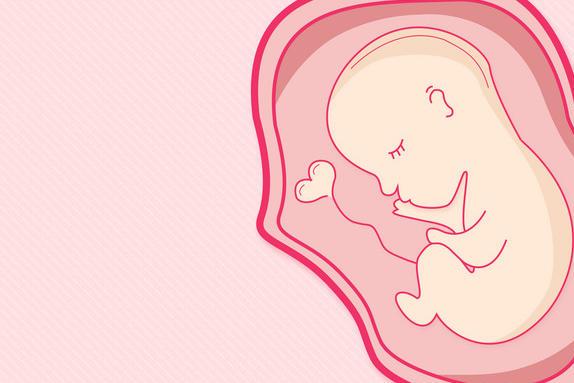 孕囊怎么看男女 孕囊看男女准吗