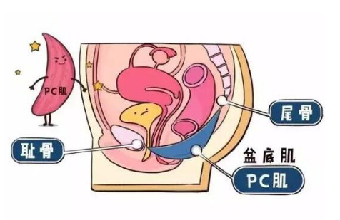 什么缩阴产品最好最快 姐妹们都信赖的缩阴品牌