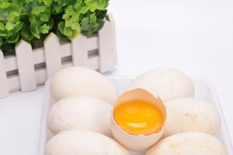 鹅蛋治心脏病偏方大全