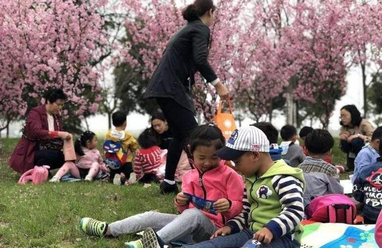 小班艺术花草地教案