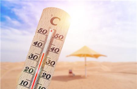 2019年初伏是几月几日