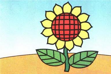 向日葵简笔画彩色的画法