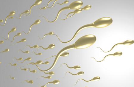 男性备孕提高精子质量怎么办