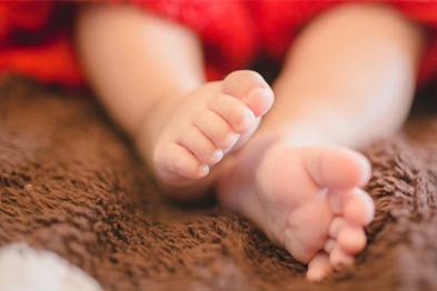 2019属猪女孩名字大全