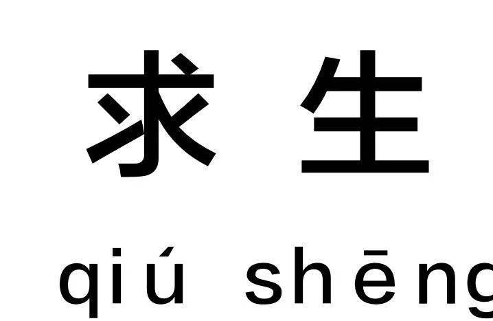 你求生欲很强是什么梗