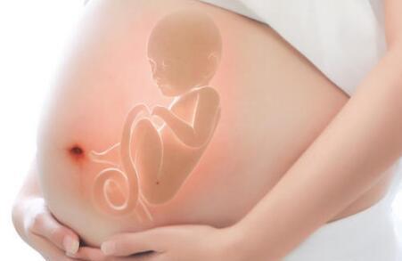 肝素保胎的原理是什么