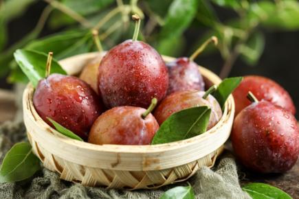 西梅是寒性的吗 哪些人不适合吃西梅