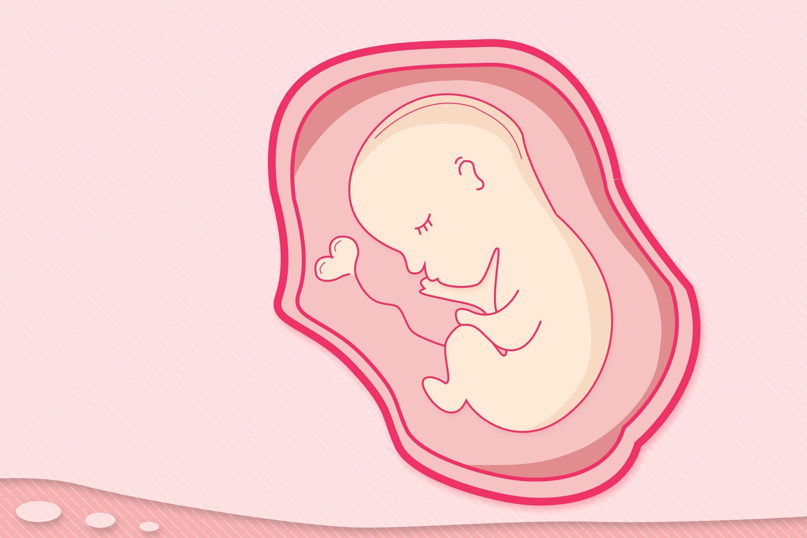 胎儿体重与孕周对照表